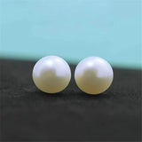 Classic Radiance Pearl Stud Earrings